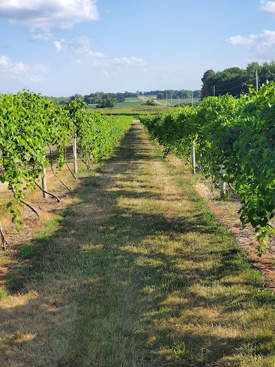 Rustic River Winery and Vineyard