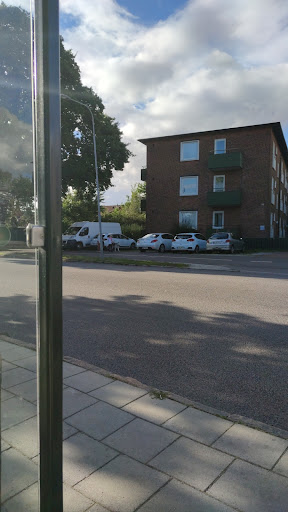 Lund Eka - Visual