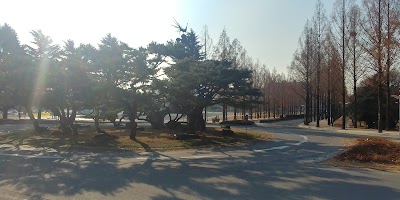 Photos of Chonnam National University