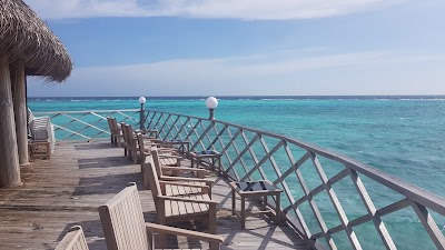 Photos of sunset bar Angaga resort