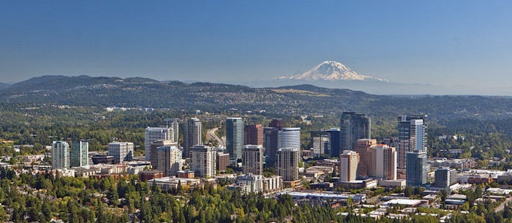 Pacific Insurance Group: Eastern Washington - Thumbnail