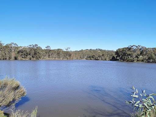 Colin Officer Flora Reserve