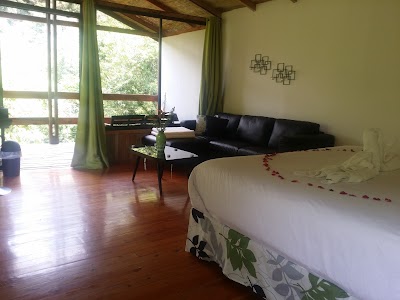 Photos of Hotel Quelitales