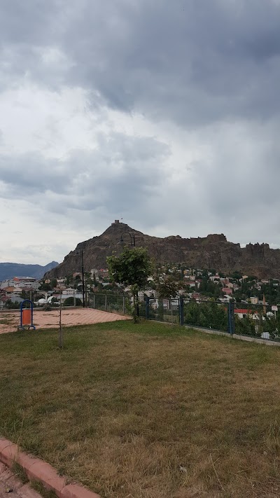 Photos of Şebinkarahisar bus station