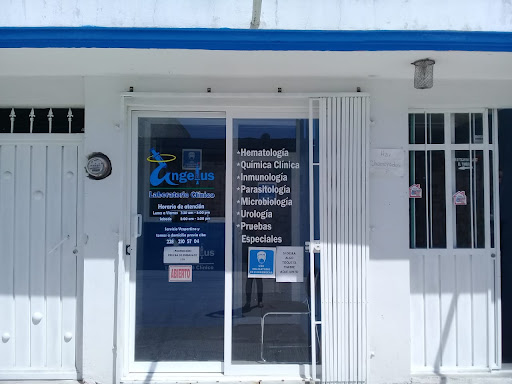 Laboratorio Angelus - Thumbnail