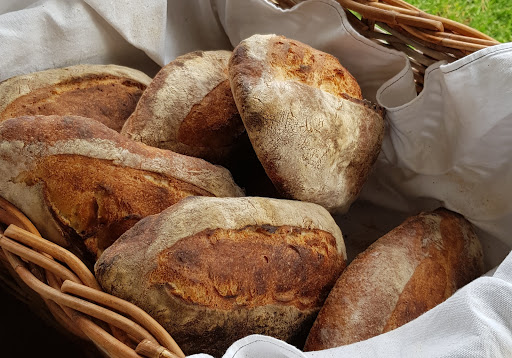Gio's Bread - Visual