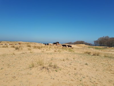 Photos of Alacalık&ouml;y&uuml; Piknik Alanı