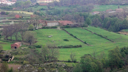 Inmobiliaria La Vera