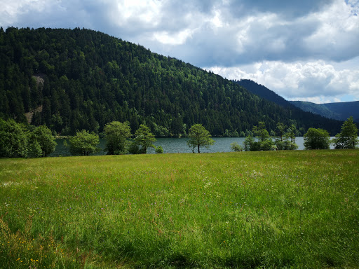 Longemer - Visual