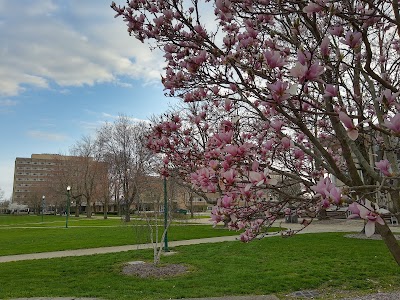 Lakeside Soccer Field