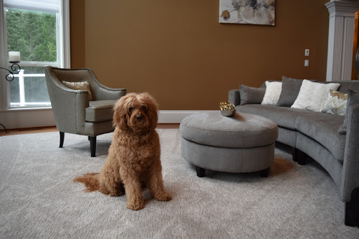 Bates Carpet Cleaning