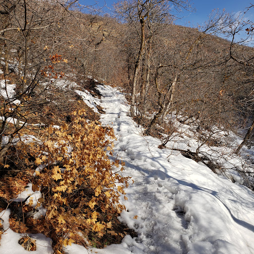Holbrook Trailhead - Thumbnail