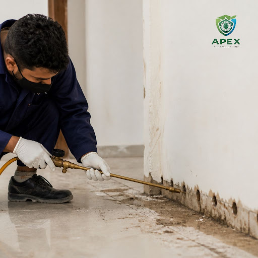 Worried about hidden termite damage in your already-built home or shop? Apex Pest Solutions Pvt.… post image