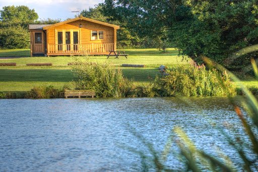 Brook Meadow - Visual