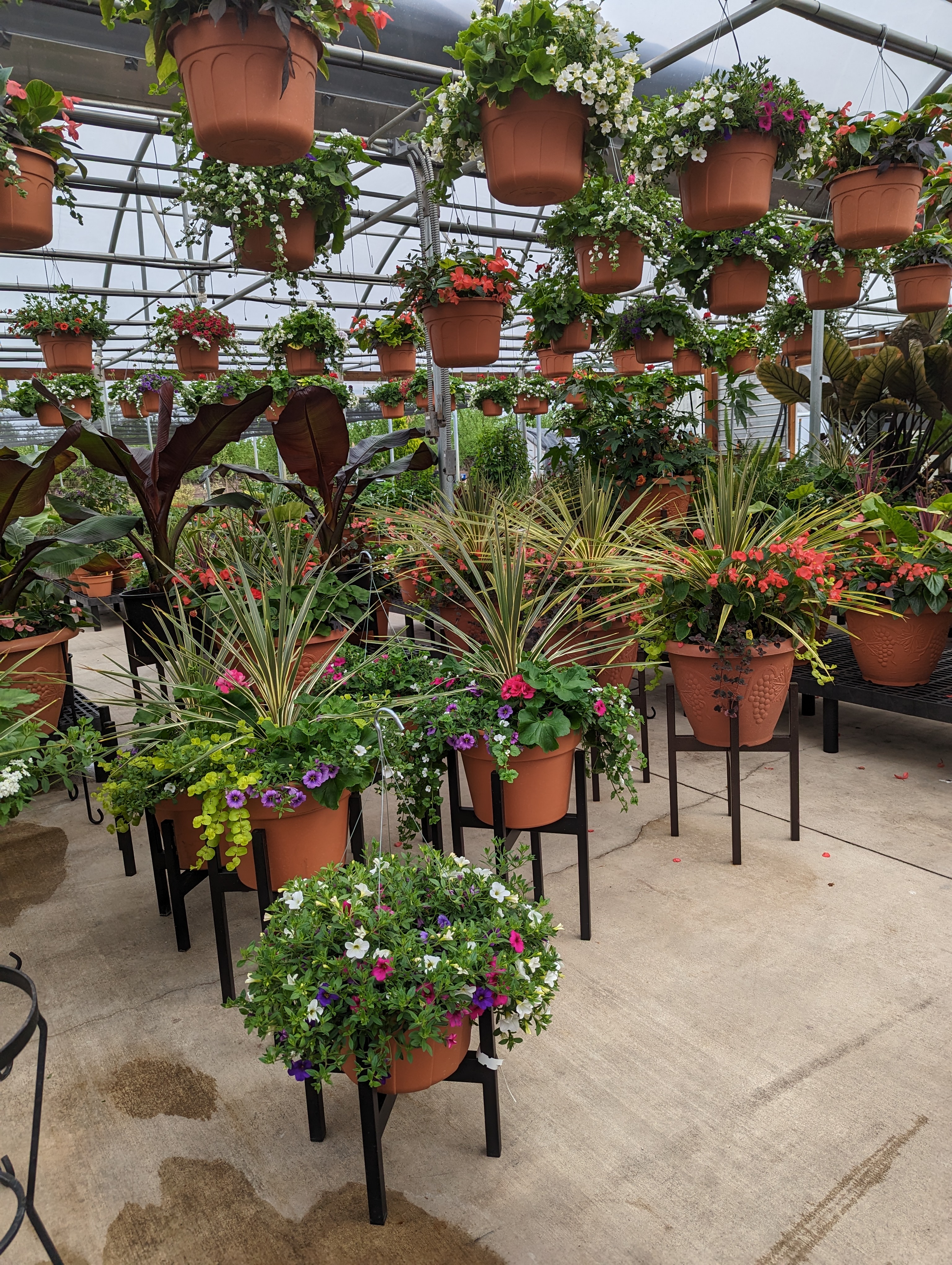 N&M Herb Nursery