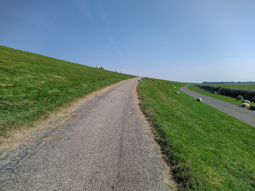 Parkeerplaats Uithuizerwad - Thumbnail