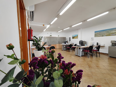 Global House Canarias C. Acusa, 61, 35110 El Doctoral, Las Palmas, España