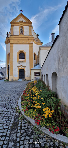 Museum of the Bohemian Forest in Tachov - Thumbnail