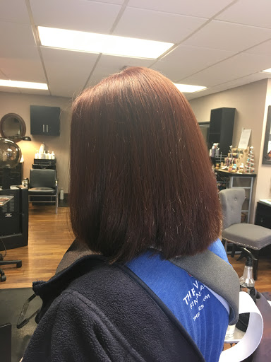 Lasalon - Visual