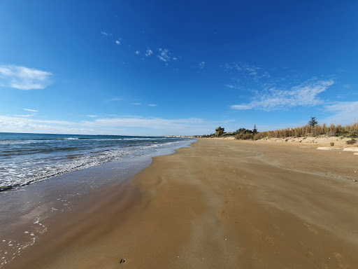 Scoglio del Dromedario - Thumbnail