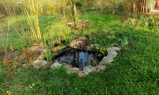 NABU-Garten - Thumbnail