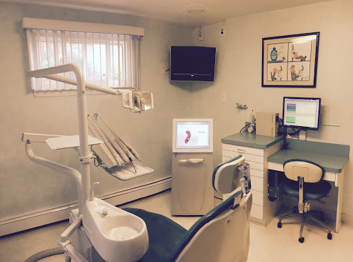 Palermo Jr Andrew C DDS