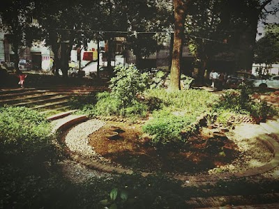 Photos of Sociology Yard