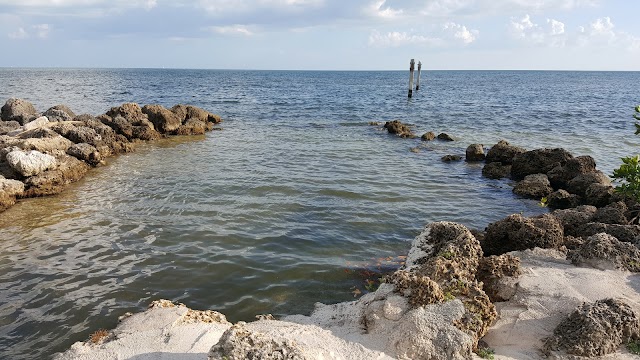 Matheson Hammock Park