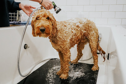 Lily's Baths & Biscuits