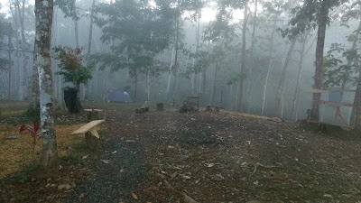 Photos of My Playground in Paradise