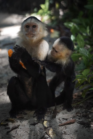 La Ruka Hostel by null