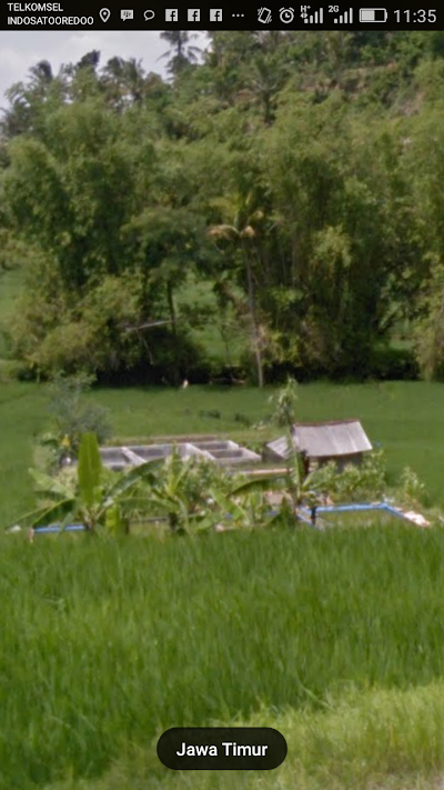 Photos of IKHWAN CATFISH & KOI FARM