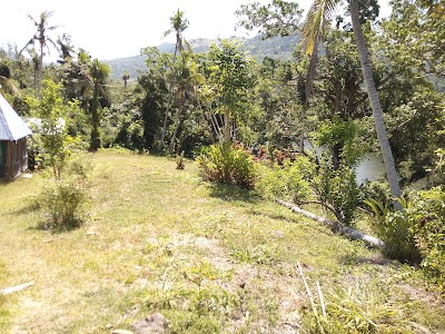 Photos of Bulou's Eco Lodge