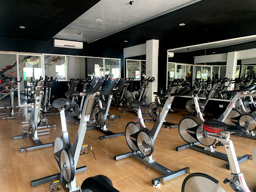 Evolve Gym Constituyentes