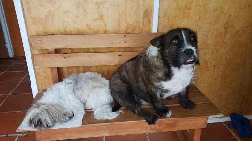 Centro veterinario moctezuma