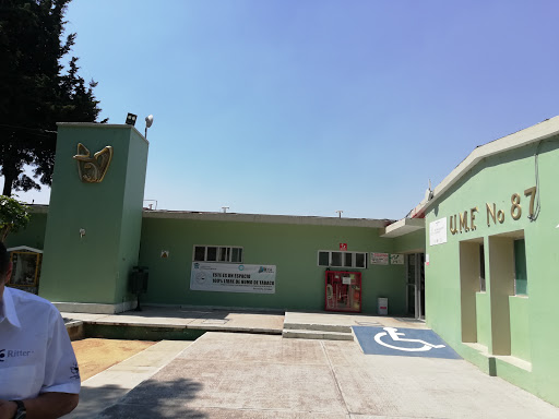 UMF No. 87 IMSS Ozumba de Alzate