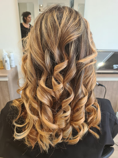 Morris Salon - Visual