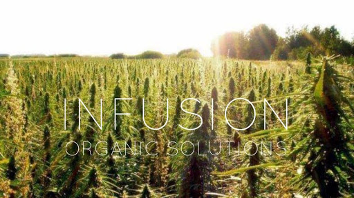 Infusion Organic Solutions