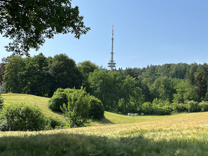 Teutoburger Immobilien GmbH photo