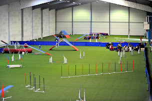 Photo n°3 de Dynamic Dogs à Fontenay-lès-Briis (Complexe sportif)