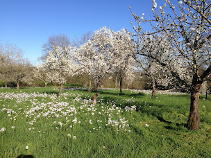 Photo n°45 de Le gite de Garbay à Margouët-Meymes (Maison d'hôtes)