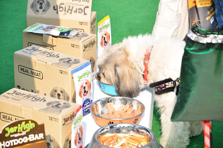 Af1qipnet4h 3aq3armgvmtaa6jvoo Fzi4pchv8glvc=s438 K No