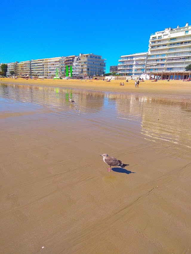 Les Fils À Maman La Baule