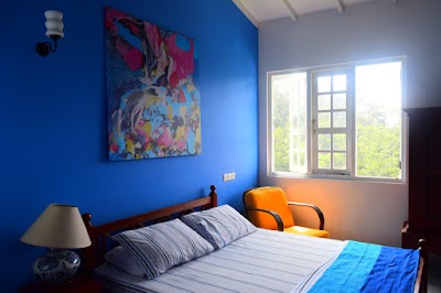 Photos of Misty Haven