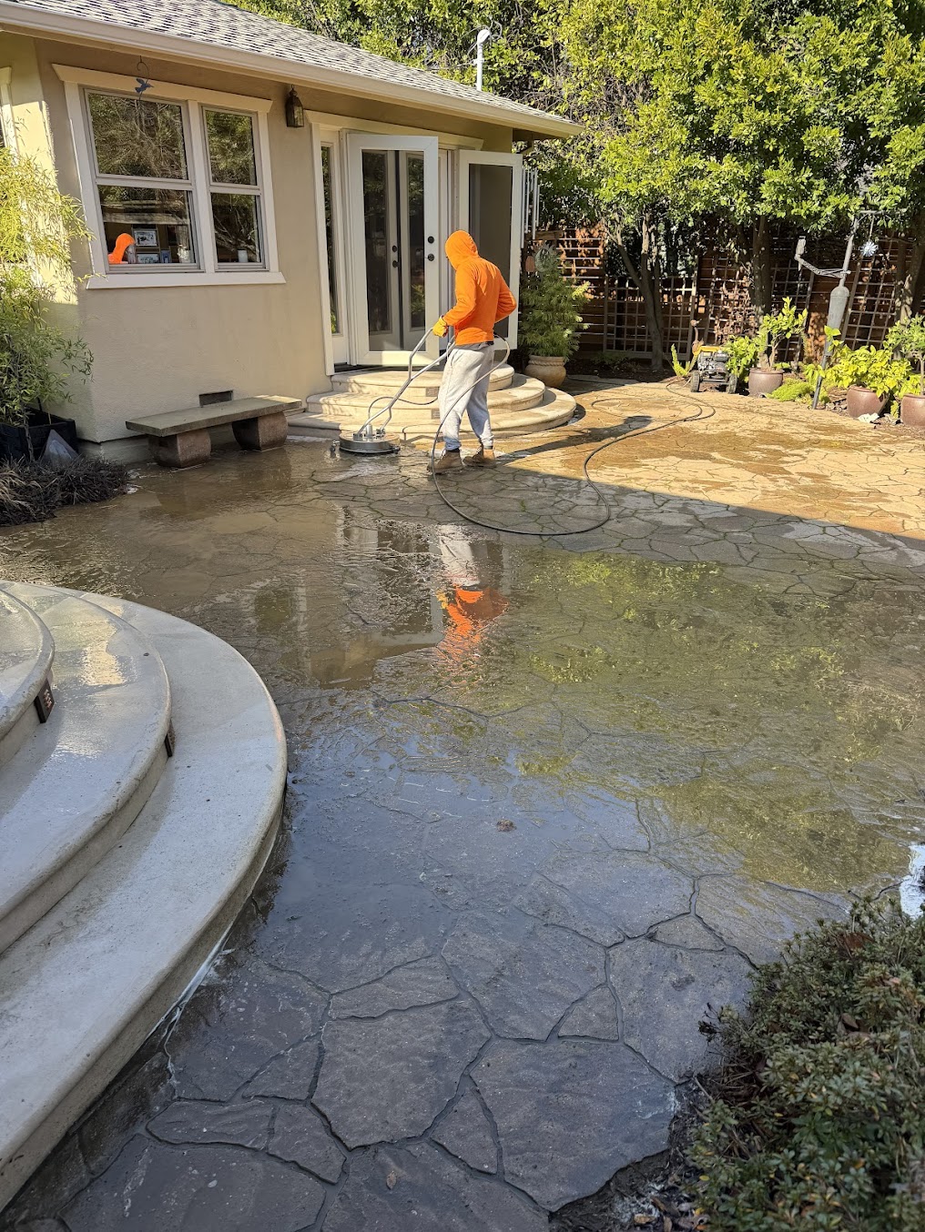 Window Cleaning Gallery Image 10