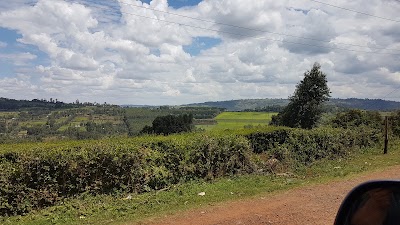 Photos of Lianyandoro