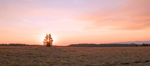 Clearwater Montana Properties, Plains - Thumbnail