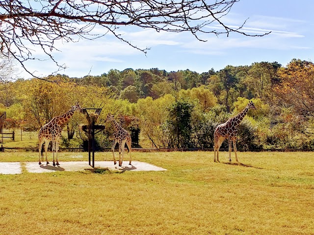 Cape May County Park & Zoo