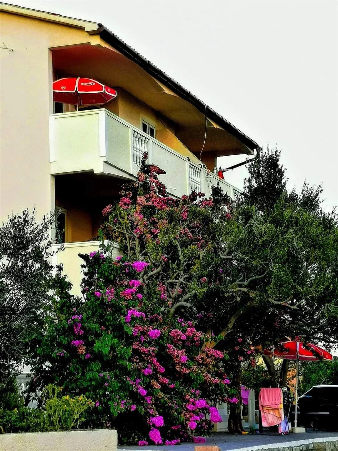 Apartmentos Zoran