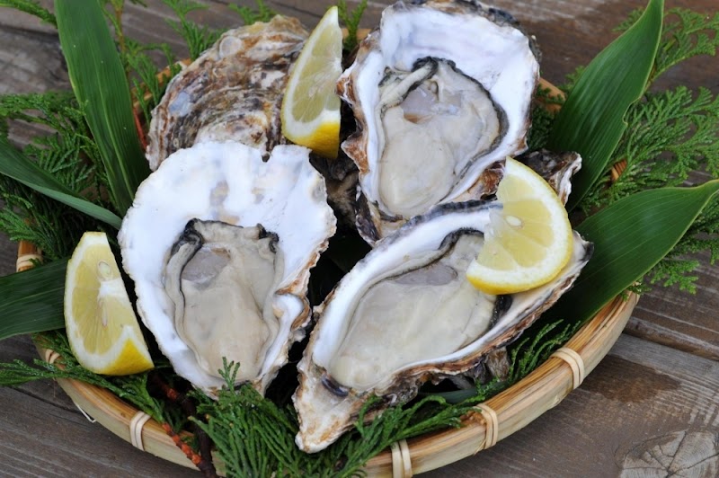 広島・鉄板 烏小島 からすこじま,